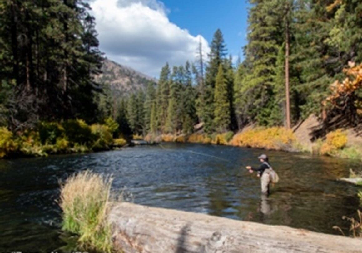 A person standing in the water with a fishing rod.